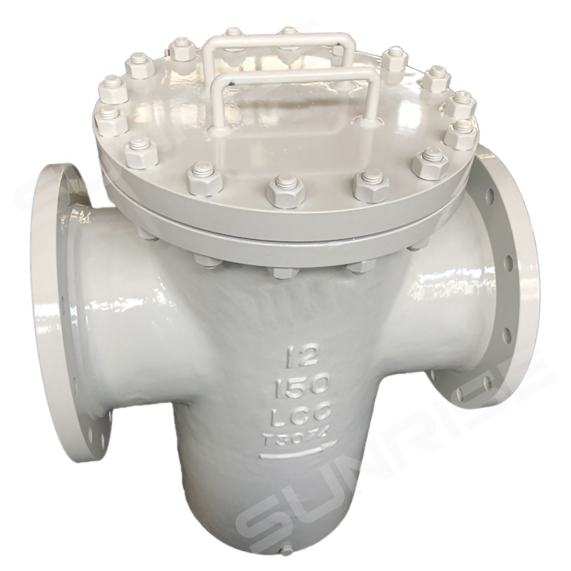 BUCKET STRAINER, ASTM A352 LCC,12INCH, CL150, MESH40, FLANGE RF END CONNECT, SCREEN : SS316